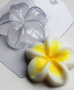 Пластиковая форма для шоколада Цветок Плюмерия