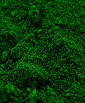 Краситель пыльца цветочная Зеленый лист, 4 гр